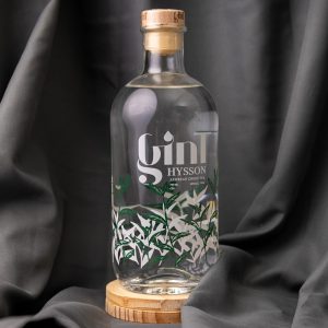 GinT Hysson